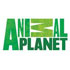 Animalplanet